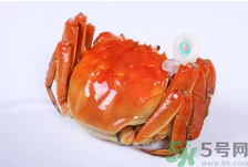 陽澄湖大閘蟹怎么做好吃？陽澄湖大閘蟹的做法