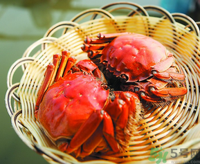陽澄湖大閘哪個牌子好?陽澄湖大閘蟹哪個牌子是正宗的? 陽澄湖大閘哪個牌子好?陽澄湖大閘蟹哪個牌子是正宗的?