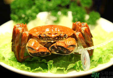 陽澄湖大閘哪個牌子好?陽澄湖大閘蟹哪個牌子是正宗的? 陽澄湖大閘哪個牌子好?陽澄湖大閘蟹哪個牌子是正宗的?