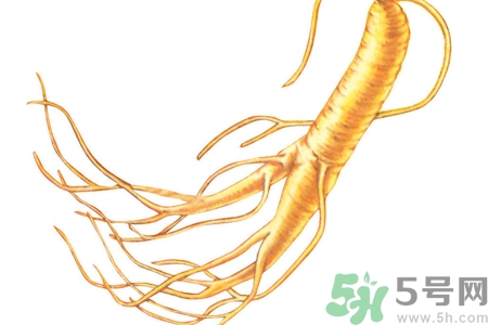 人參怎么吃效果最好？人參的做法大全