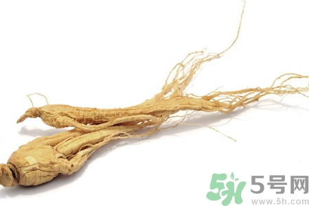 人參怎么吃效果最好？人參的做法大全
