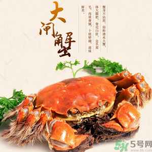 梁子湖大閘蟹什么時(shí)候上市？梁子湖大閘蟹上市時(shí)間