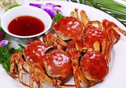 陽澄湖大閘哪個(gè)牌子好？陽澄湖大閘蟹哪個(gè)牌子是正宗的？