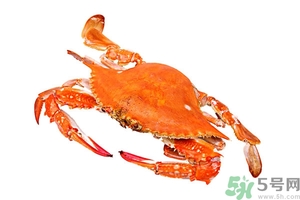 懷孕期間能吃螃蟹嗎？吃螃蟹會影響懷孕嗎？