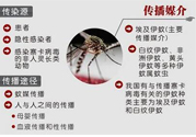 寨卡病毒對兒童的影響有哪些？寶寶如何避免及預(yù)防？