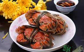 海蟹什么時候最肥？海蟹什么時候吃最好？