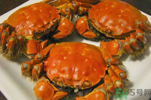 洪澤湖大閘蟹多少錢(qián)一斤？洪澤湖大閘蟹價(jià)格