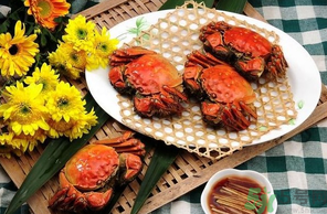 大閘蟹哪個(gè)品牌好？什么牌子的大閘蟹好吃？