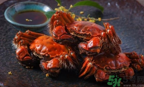 陽澄湖大閘蟹死了還能吃嗎？陽澄湖大閘蟹死了為什么不能吃？