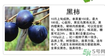 黑柿的營養(yǎng)價值及功效 黑柿怎么吃？