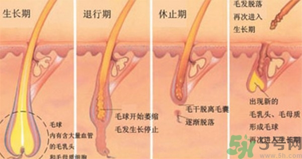 紋眉后要補色嗎？紋眉后多久可以補色？