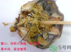 梭子蟹哪些部位不能吃？梭子蟹哪些人不能吃？