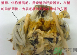 梭子蟹哪些部位不能吃？梭子蟹哪些人不能吃？