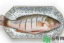 秋季適合吃什么魚？秋季吃魚的好處？