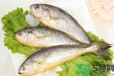 秋季適合吃什么魚？秋季吃魚的好處？