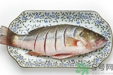 如何挑選新鮮魚？怎樣吃到不被污染的魚？