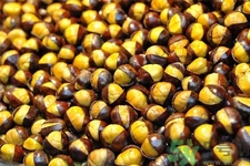 吃栗子會(huì)胖嗎？栗子吃多了會(huì)怎樣？