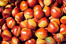 吃栗子會(huì)胖嗎？栗子吃多了會(huì)怎樣？