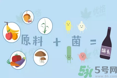 酵素是什么？吃酵素減肥有效果嗎？
