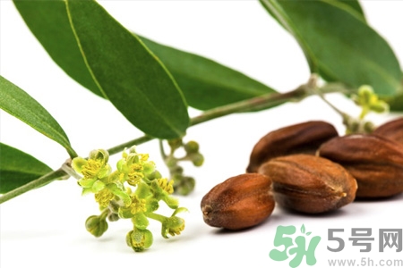 荷荷巴油可以直接擦臉嗎？荷荷巴油怎么去黑頭？