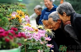 重陽(yáng)節(jié)是陰歷還是陽(yáng)歷？重陽(yáng)節(jié)是什么意思？