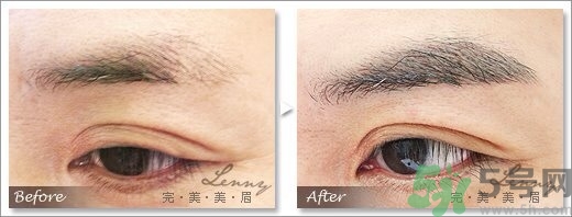 男士眉型設計圖片大全 男人眉形圖片大全