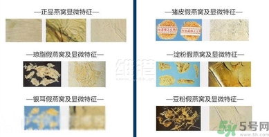 去香港買燕窩哪里好？香港哪里買燕窩比較好正宗？
