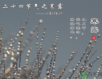 寒露是什么意思？寒露是幾月幾日