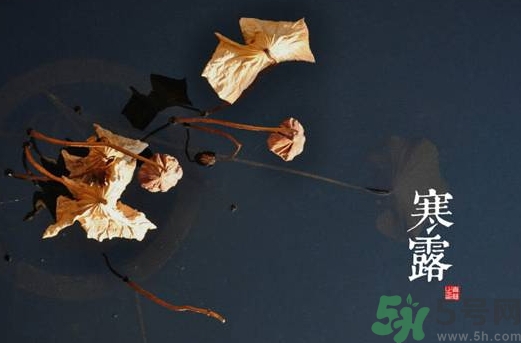 寒露是什么意思？寒露是幾月幾日