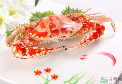 梭子蟹和花蟹的區(qū)別？梭子蟹和花蟹哪個好吃？