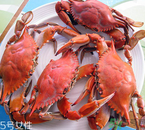 梭子蟹和飛蟹的區(qū)別？飛蟹是梭子蟹嗎？