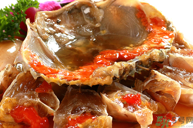 膏蟹是河蟹還是海蟹？膏蟹是什么蟹？