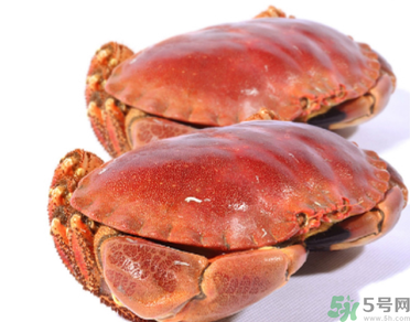 面包蟹多少錢一斤？面包蟹多少錢一只？