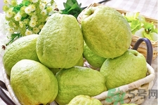 芭樂怎么吃？芭樂的營養(yǎng)價(jià)值與功效