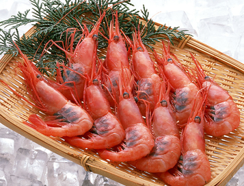 海蝦煮多長時間熟？海蝦怎么煮？