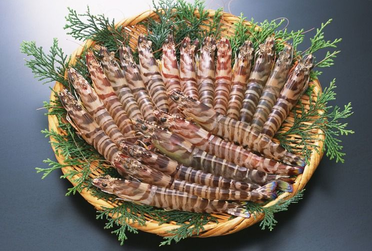 海蝦煮多長時間熟？海蝦怎么煮？