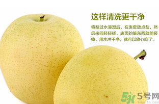 皇冠梨是雪梨嗎？皇冠梨和雪梨的區(qū)別