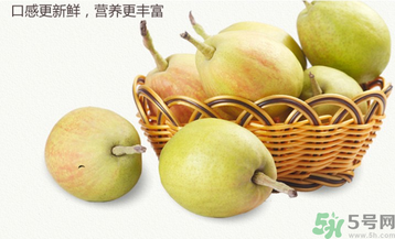 孕婦能吃香梨嗎？香梨孕婦可以吃嗎？