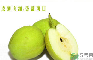 孕婦能吃香梨嗎？香梨孕婦可以吃嗎？