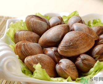 蛤蜊是發(fā)物嗎？手術(shù)后可以吃蛤蜊嗎？