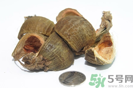 檳榔致癌嗎？檳榔對身體有什么影響嗎？