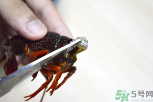活蝦怎么處理干凈蝦線？活蝦怎么去蝦線？