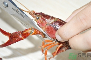 活蝦怎么處理干凈蝦線？活蝦怎么去蝦線？