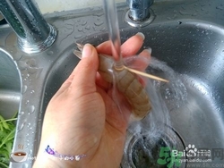 活蝦怎么處理干凈蝦線？活蝦怎么去蝦線？