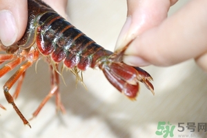活蝦怎么處理干凈蝦線？活蝦怎么去蝦線？