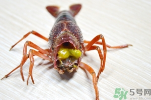 活蝦怎么處理干凈蝦線？活蝦怎么去蝦線？