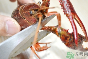 活蝦怎么處理干凈蝦線？活蝦怎么去蝦線？