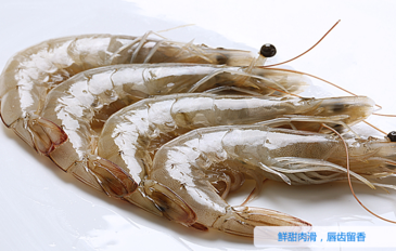 海蝦怎么保存？活海蝦怎么保存？