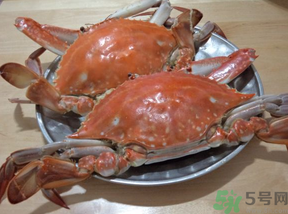 海蟹蒸多長時間？海蟹蒸多長時間最好吃？