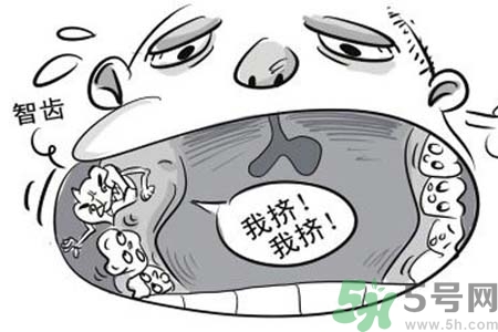 智齒拔了好不好？智齒能不拔嗎？